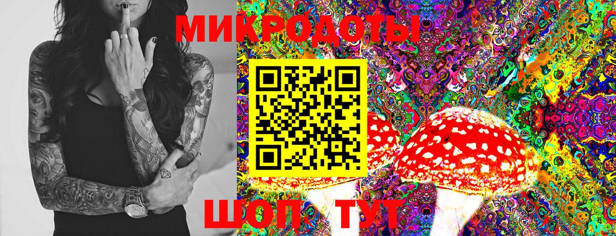 Галлюциногенные грибы Psilocybine cubensis Нижнеудинск