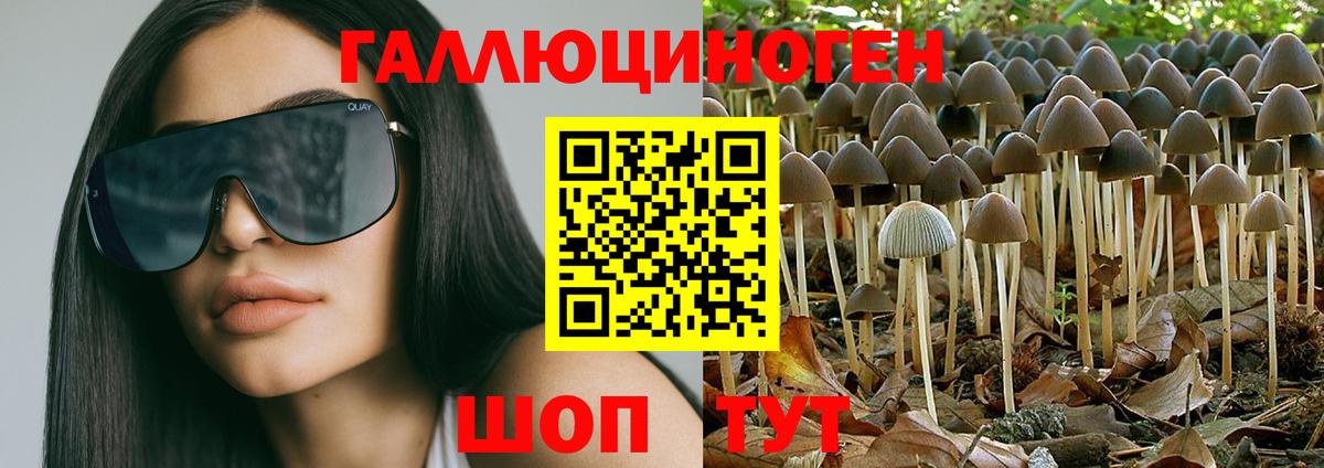 Нижнеудинск  Псилоцибиновые грибы Psilocybe  Вход с VPN 